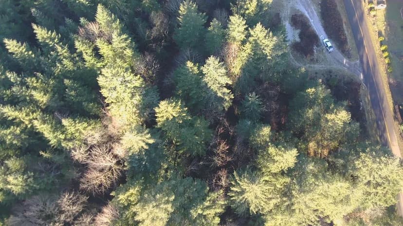 Brice Creek Homestead