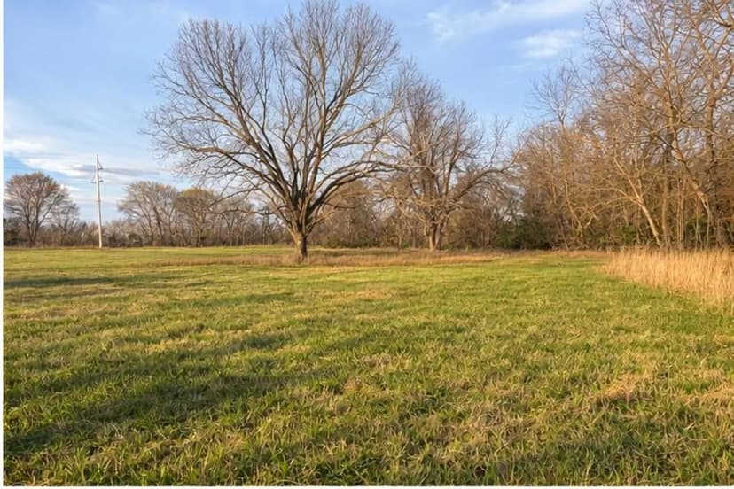 6 Scenic Acres with Pecan Trees – Minutes from Multiple Different Lakes
