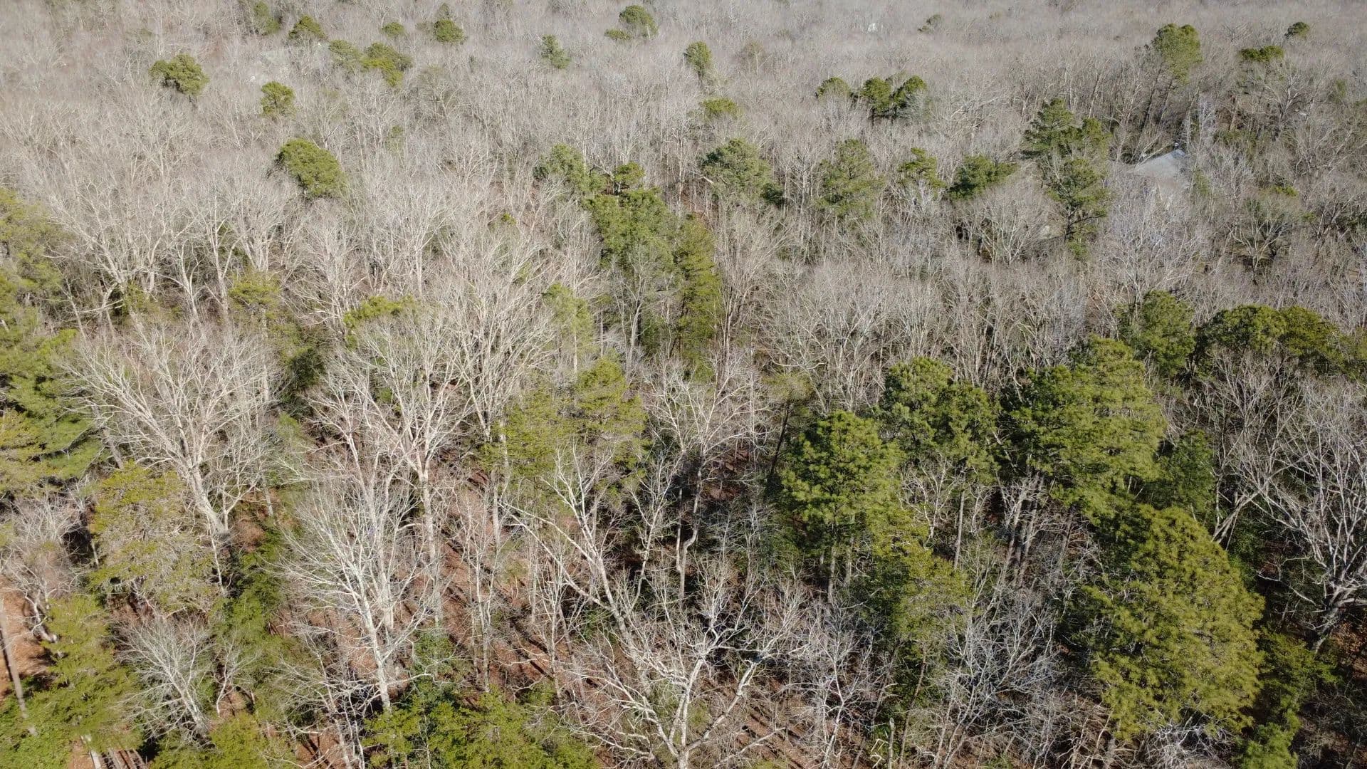 Lots & Land-Other in Lanexa - Lanexa, Virginia, 23089