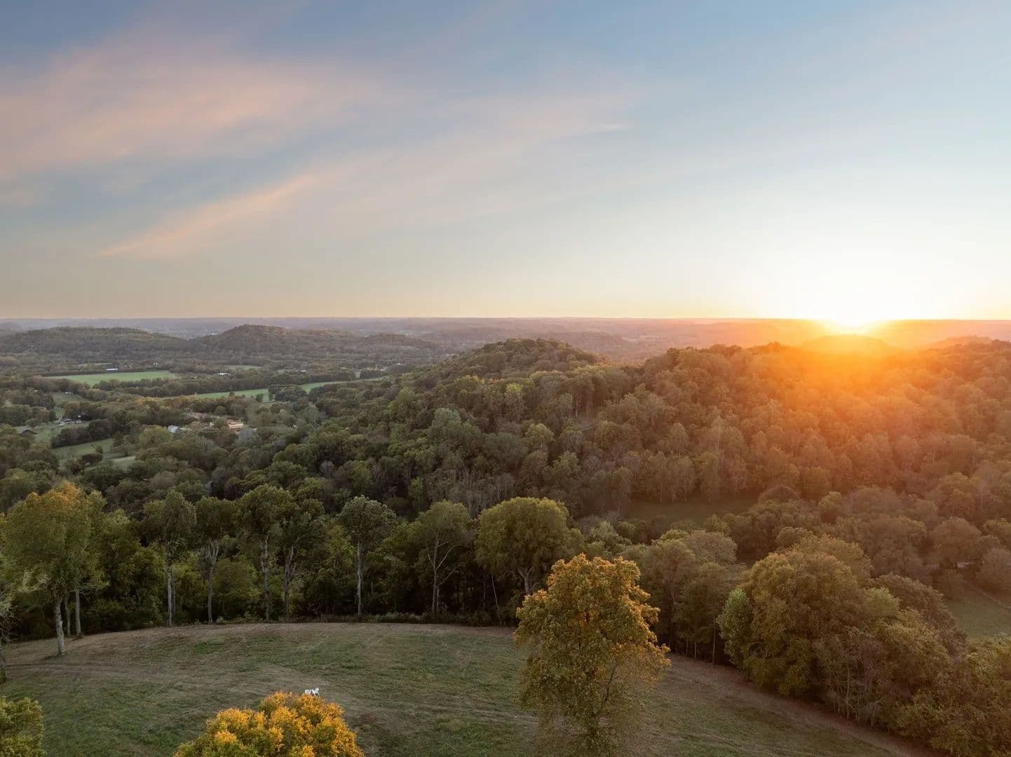 92.83 Acres of Land for Sale in Franklin, TN - Franklin, Tennessee, 37064