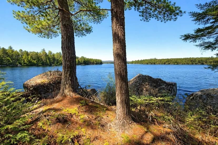 Land -Single Family Acreage in Lakeville