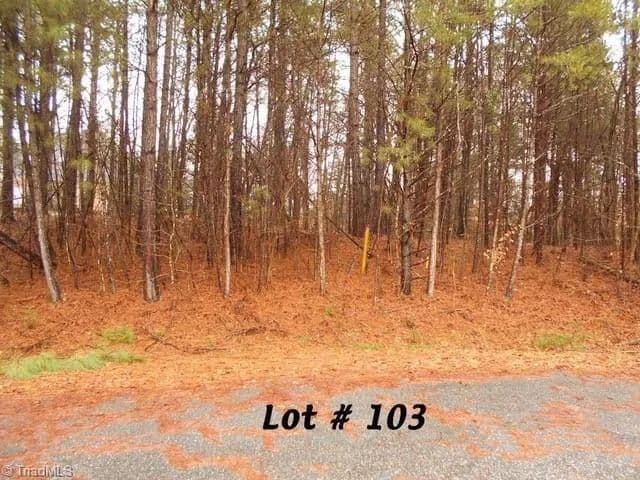 Vacant Land in Eden - Eden, North Carolina, 27288