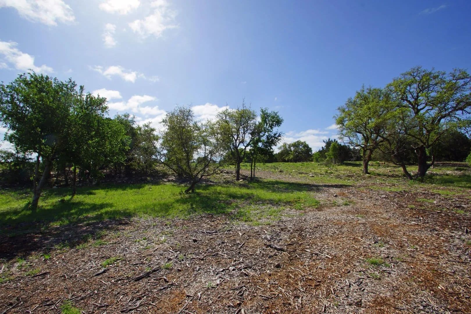 Vacant Land in Briggs - Briggs, Texas, 78608