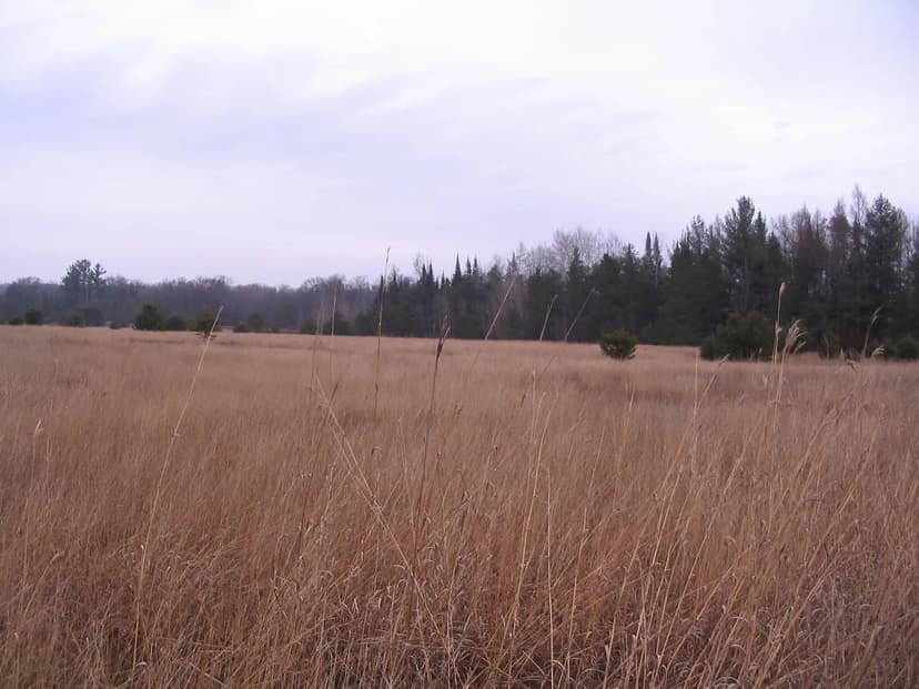 Vacant Land (0-10 Acres) in Roscommon