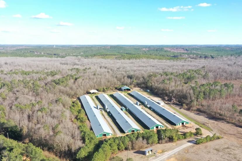 D&D Broiler Farm – Four House Farm in Pickens County, Alabama