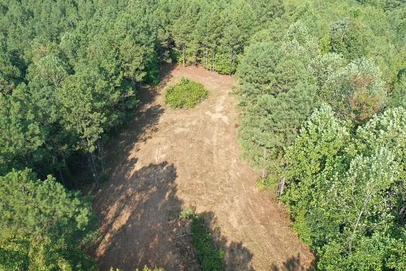 79.1+/- acres Greenwood Springs, MS