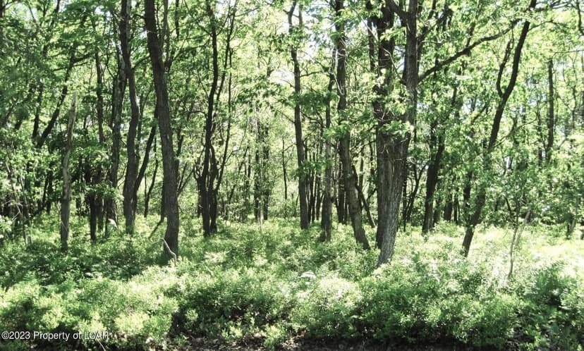 Lots & Land-Other in Hazle Twp