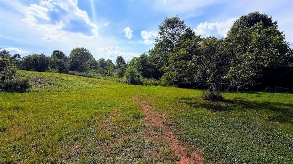 11 Acres of Land for Sale in Bremen, GA - Bremen, Georgia, 30110