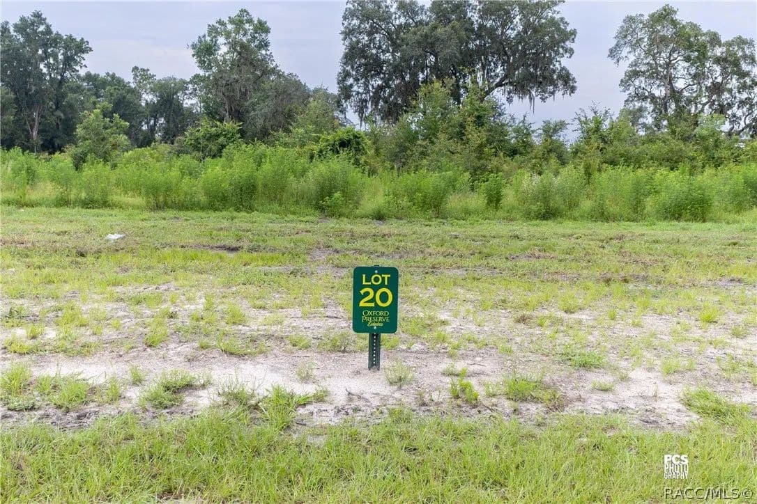 6.7 Acres of Land for Sale in Oxford, FL - Oxford, Florida, 34484