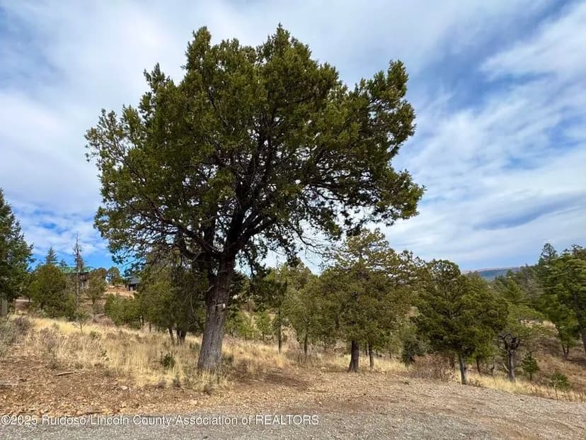 Land -Agricultural (Not Zoned) in Ruidoso