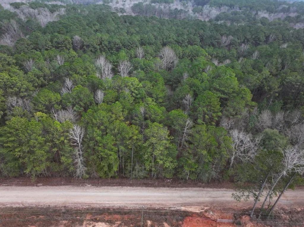 Vacant Land in Hamilton - Hamilton, Georgia, 31811