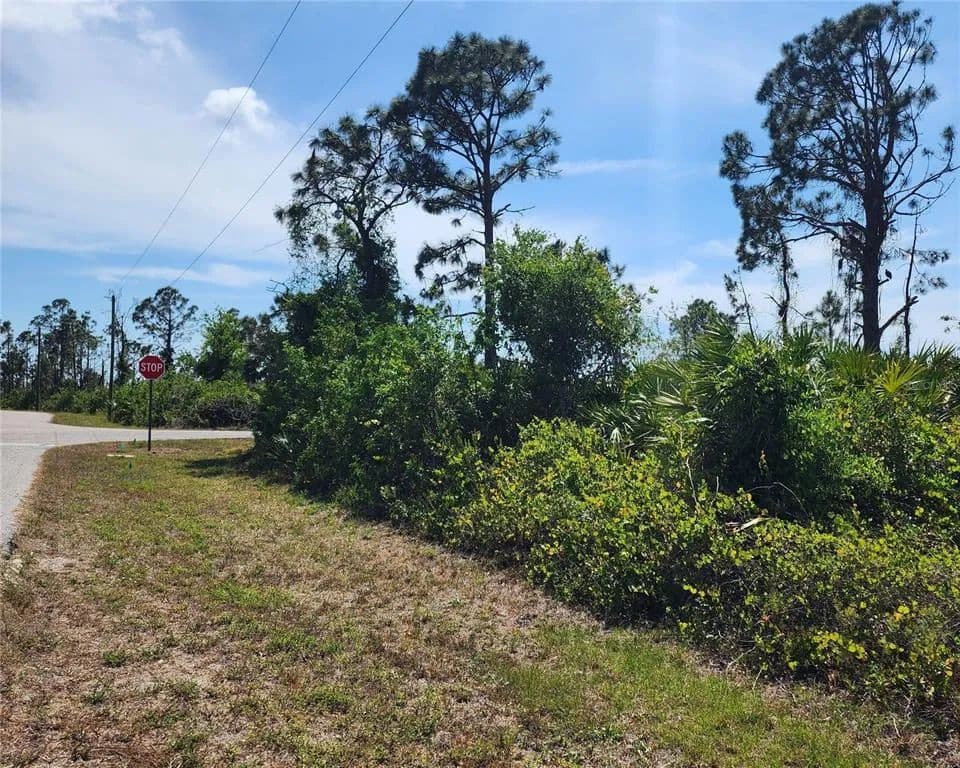 Vacant Land in Port Charlotte - Port Charlotte, Florida, 33981
