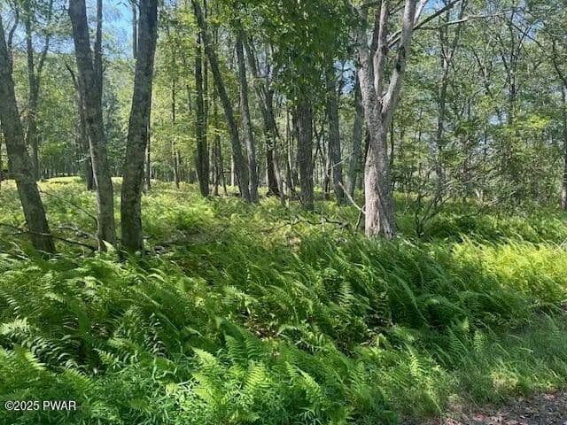Vacant Land in Milford - Milford, Pennsylvania, 18337