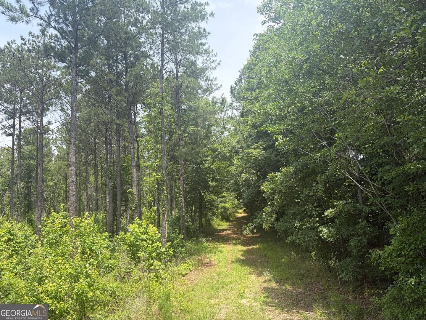 Property from 2 Sunhill Grange Road - KW - Davisboro, Georgia, 31018
