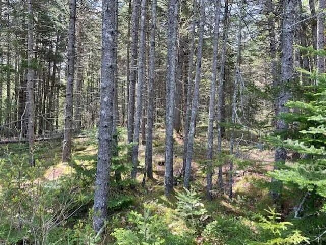 Lots & Land-Other in Cushing - Cushing, Maine, 04563