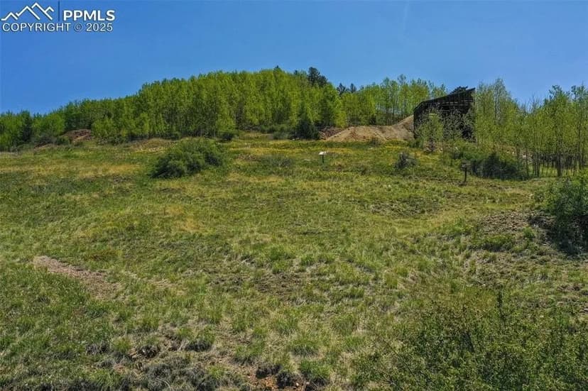 Lots & Land-Other in Cripple Creek