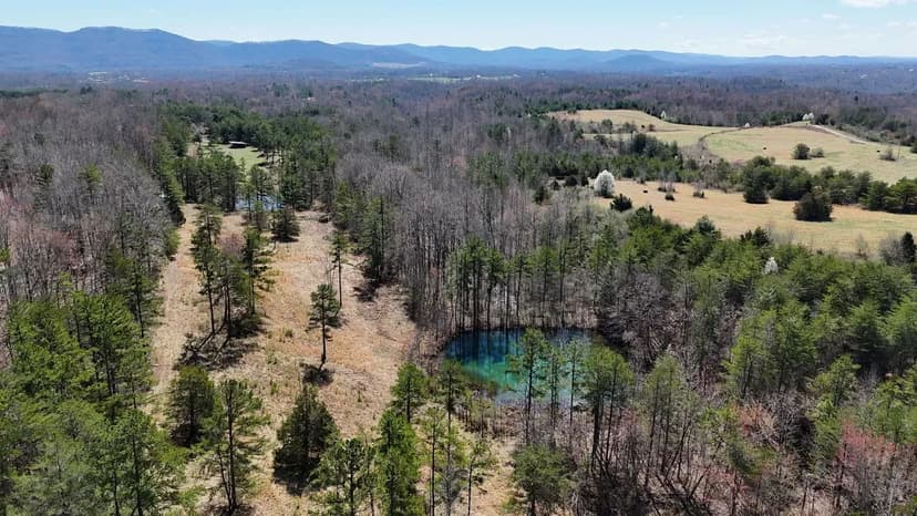 10.86 +/- Acres | Pond | Storage Buildings | Cabin build started | Adjoins Public Land & WMA