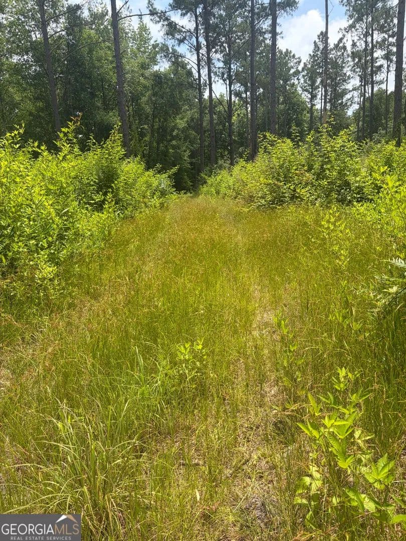 Property from 10 Sunhill Grange Road - KW - Davisboro, Georgia, 31018