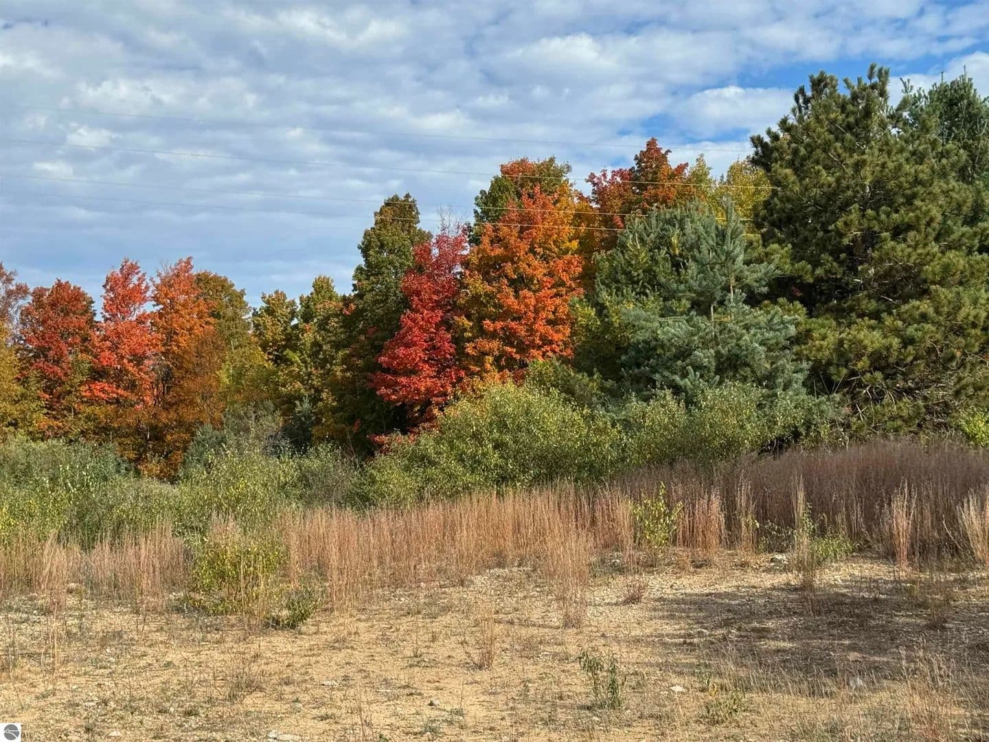 Vacant Land in Traverse City - Traverse City, Michigan, 49684