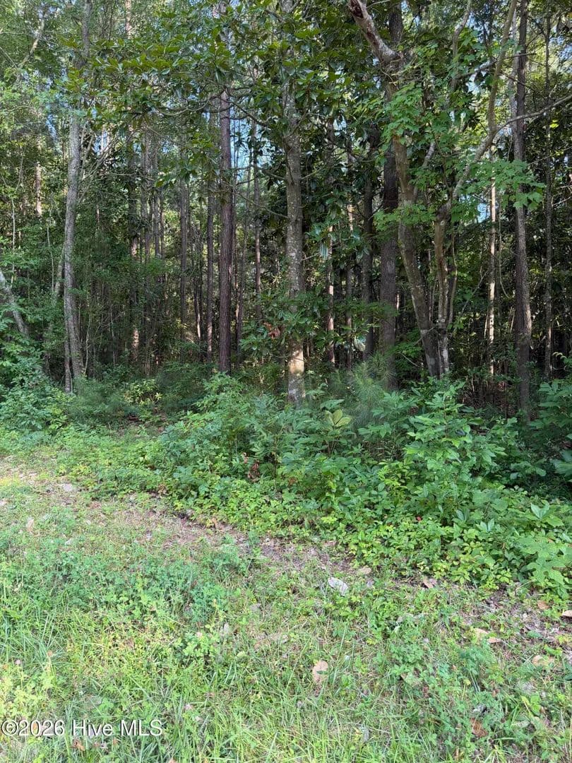 Vacant Land in New Bern - New Bern, North Carolina, 28560
