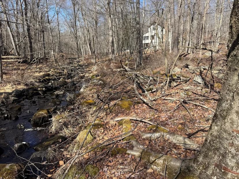 Vacant Land in Clifton Township