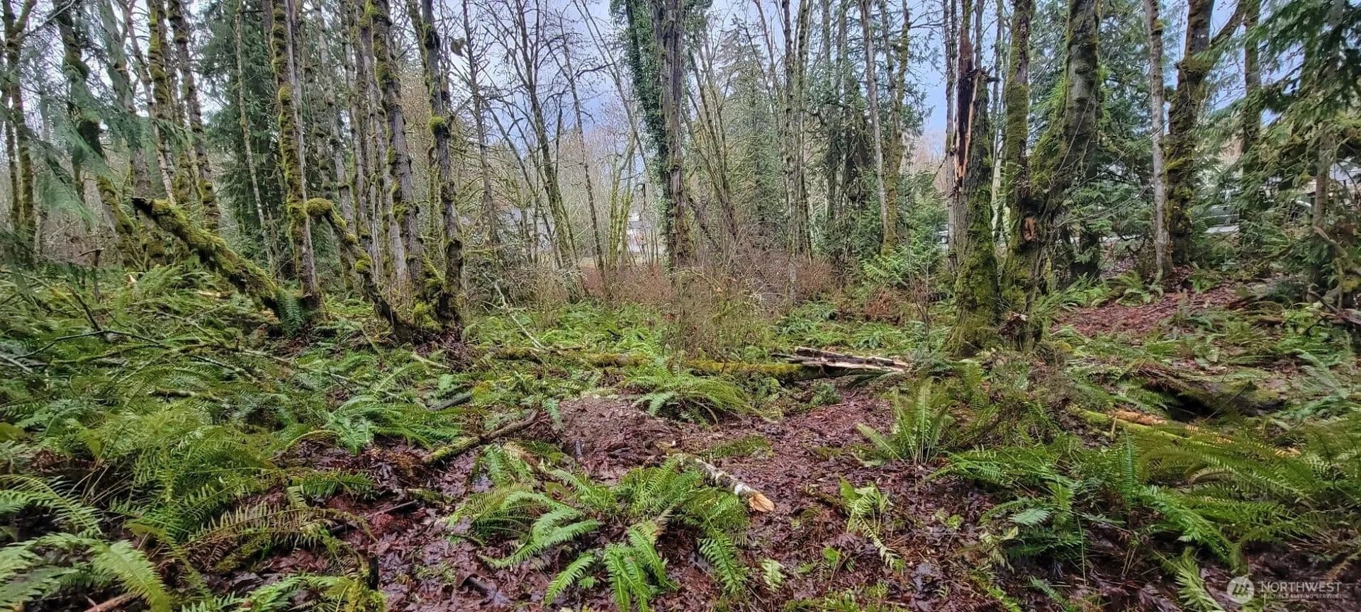 Vacant Land in Manchester - Manchester, Washington, 98353