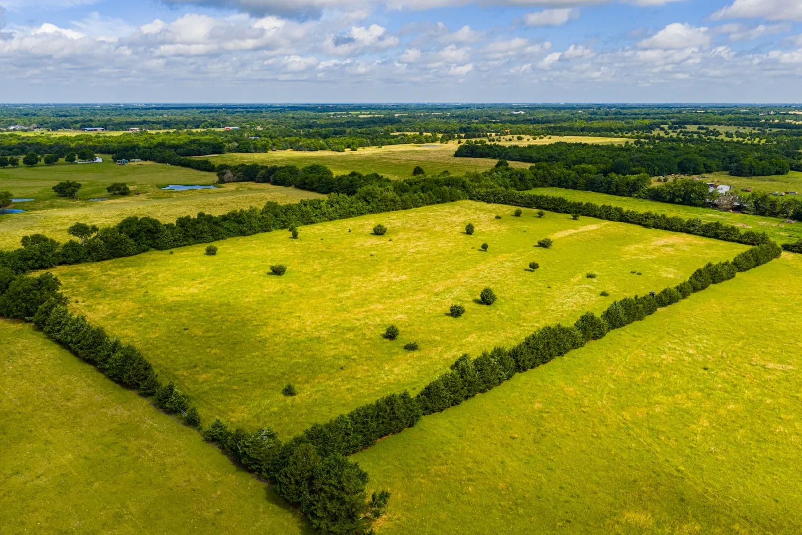 Meadow Creek Ranch - Celeste, Texas, 75423