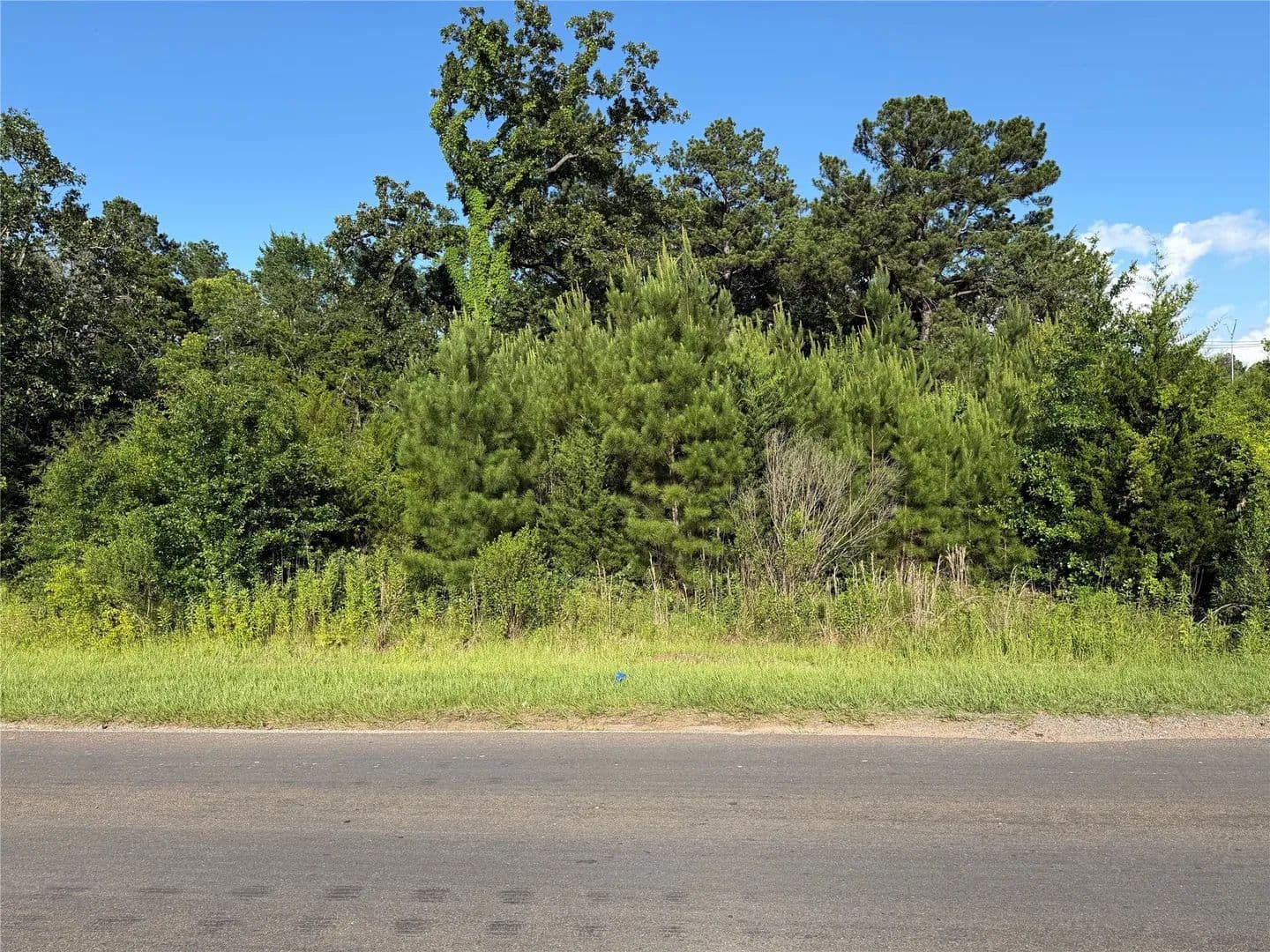 Property from 0 N Hendrix Avenue - KW - Diboll, Texas, 75941