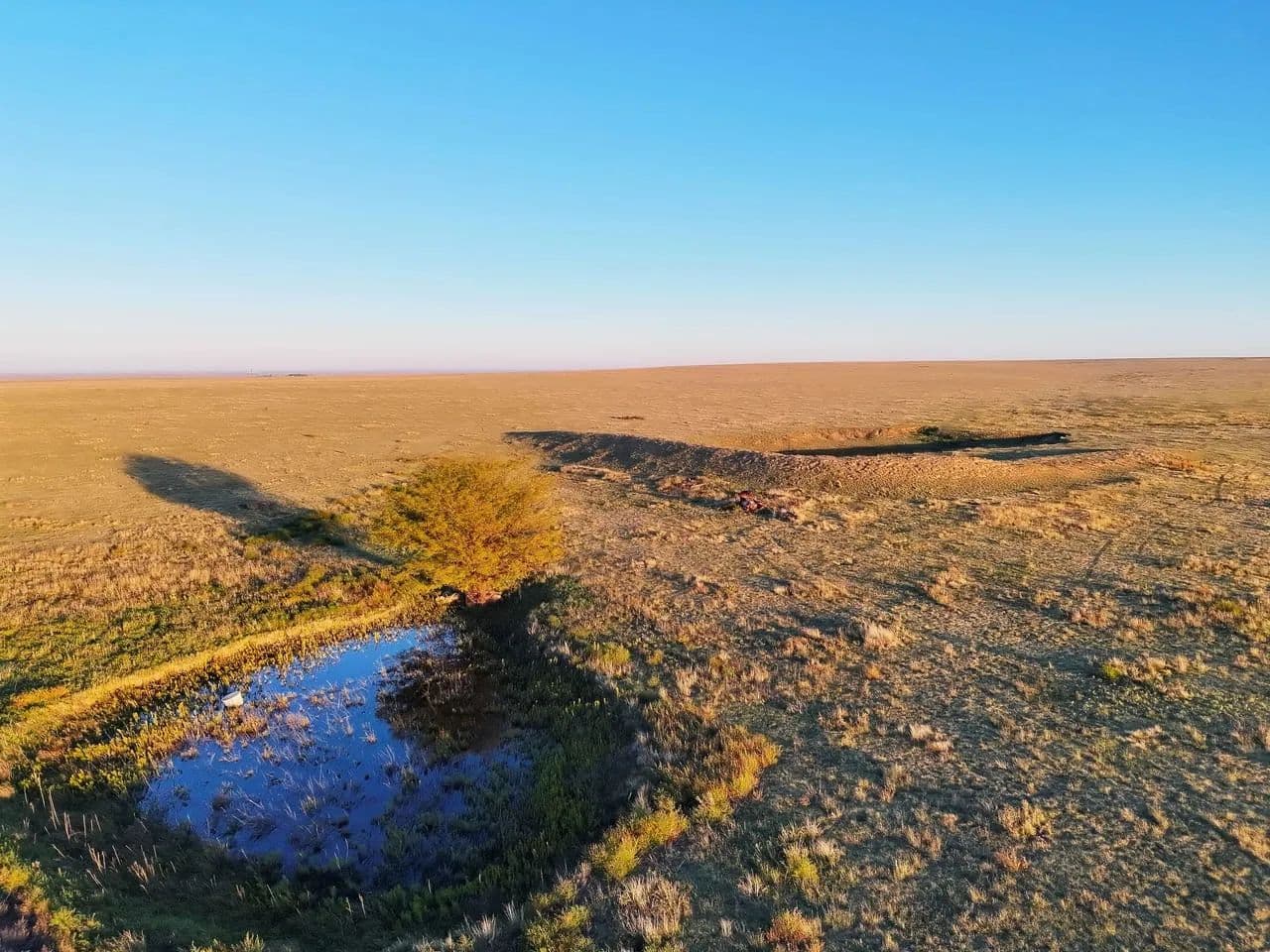 Fenced Pasture with Paved Road Frontage & Wind Development Lease - Hartman, Colorado, 81047