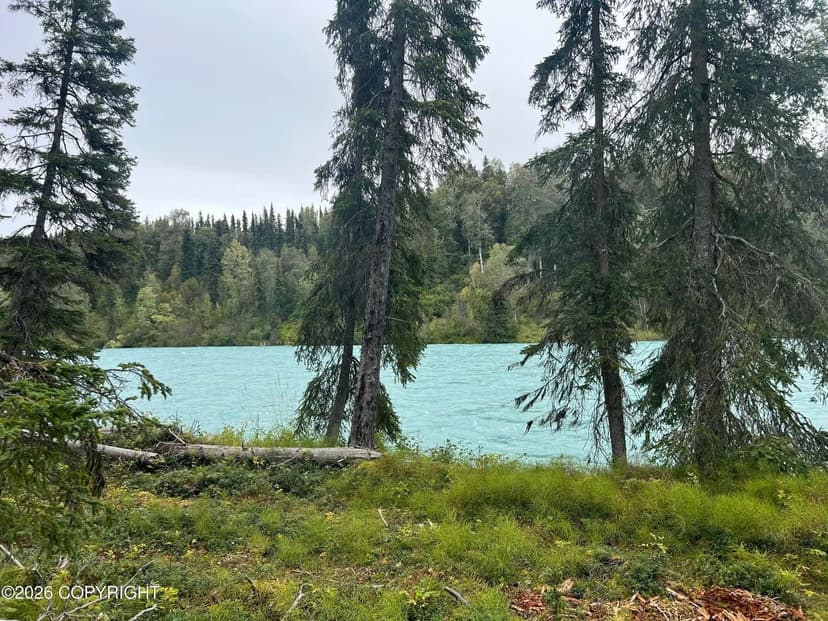 Vacant Land in Kasilof