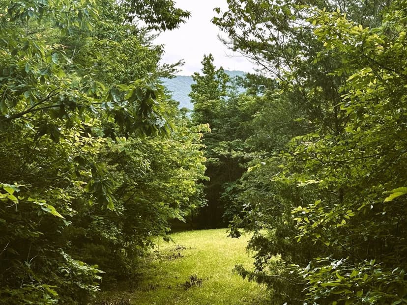 Property from 1133-1137 County Road 480 - KW