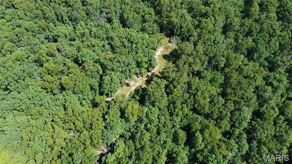 82.53 Acres of Land for Sale in Salem, MO - Salem, Missouri, 65560