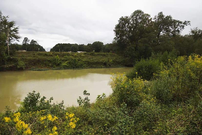 548.75 Acres in Grant County, AR