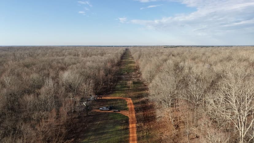 548.75 Acres in Grant County, AR