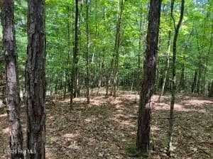 Lots & Land-Other in Murphy - Murphy, North Carolina, 28906