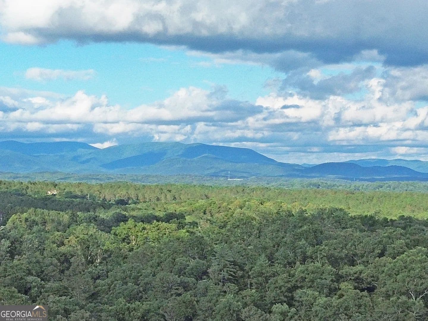 6.06 Acres of Land for Sale in Ellijay, GA - land for sale