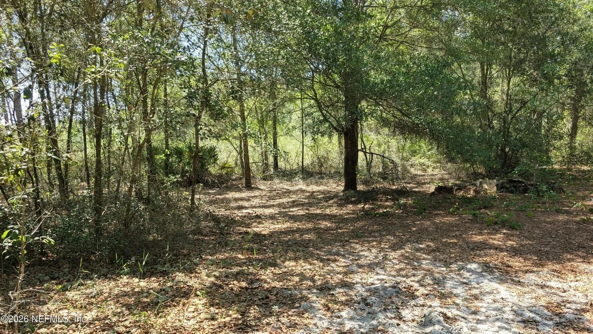 1.01 Acres of Land for Sale in Keystone Heights, Florida - Keystone Heights, Florida, 32656