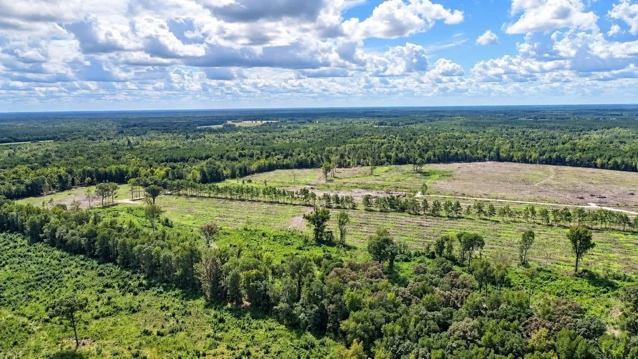 Long Branch Tract - Greeleyville, South Carolina, 29056