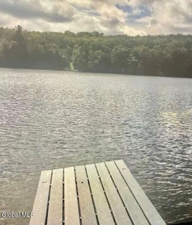 Land -Single Family Acreage in Petersburgh - Petersburgh, New York, 12138