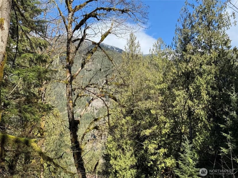 Vacant Land in Marblemount