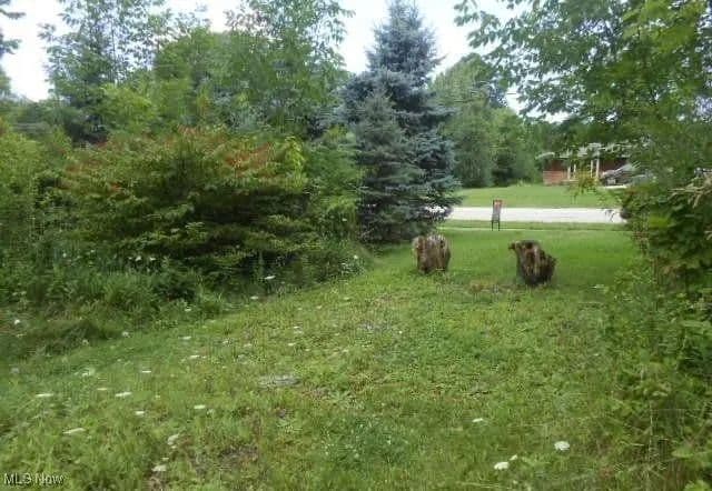 Lots & Land-Other in Strongsville