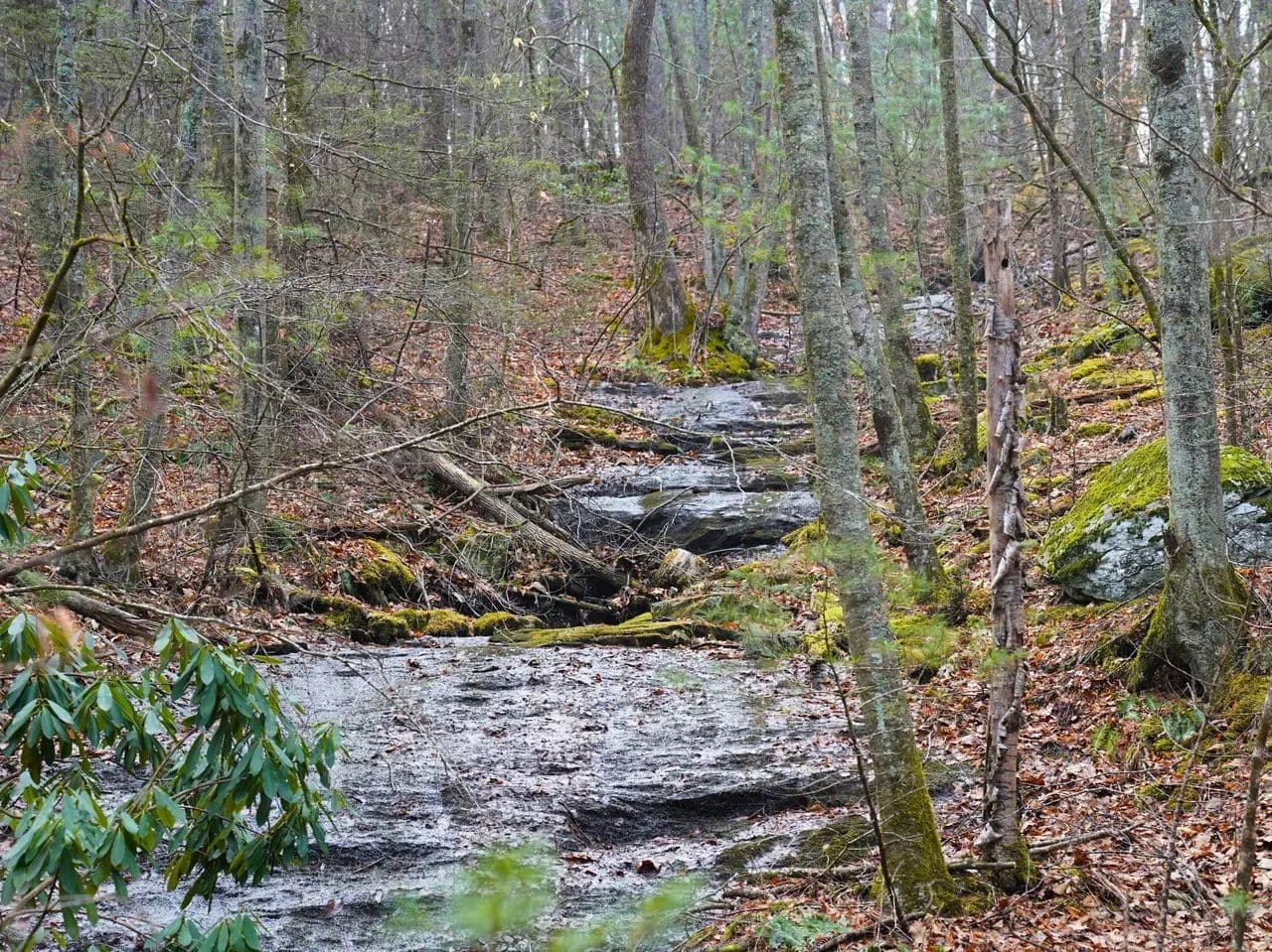 Burnt Hill Highlands: 42+/- Mountain Acres with Pasture, Timber, and Big Views - Laurel Springs, North Carolina, 28644