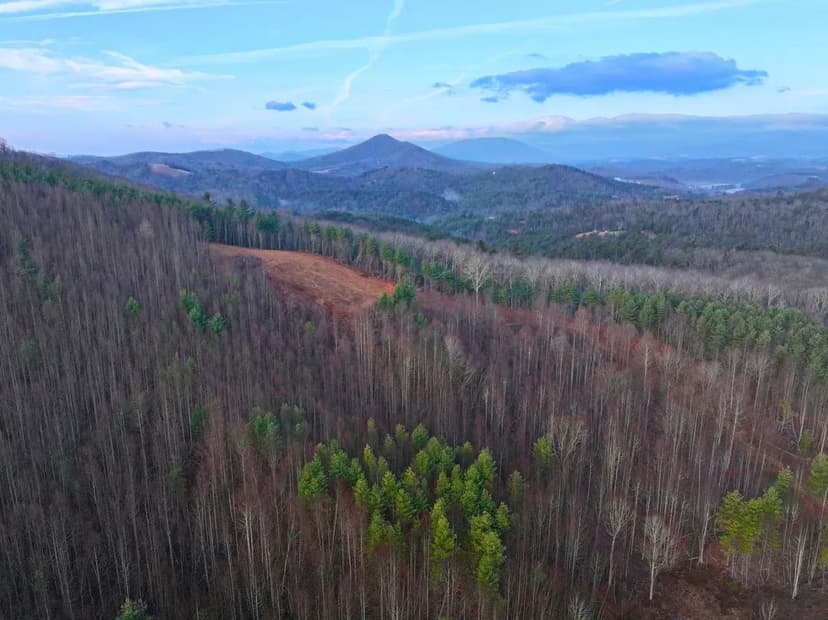 Burnt Hill Highlands: 42+/- Mountain Acres with Pasture, Timber, and Big Views
