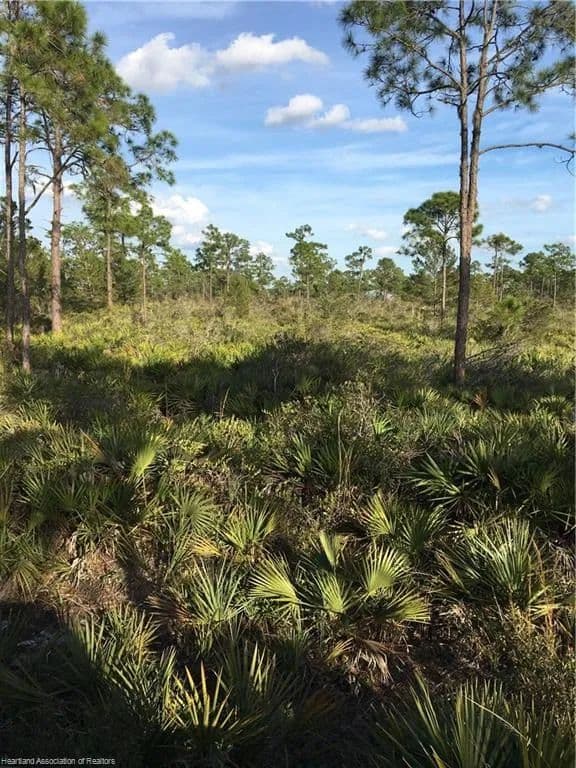 Vacant Land in Sebring - Sebring, Florida, 33875