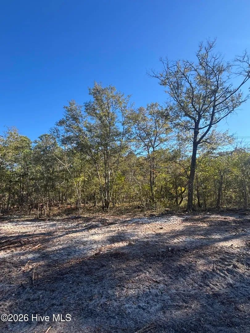 Property from Lot 166 Coral Gull Street - KW - Southport, North Carolina, 28461