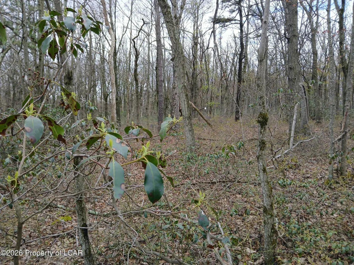 Lots & Land-Other in Harleigh - Harleigh, Pennsylvania, 18202