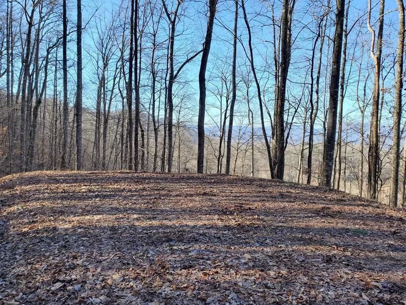 Property from LOT 22 Willa Rd - KW