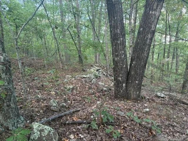 Land -Agricultural (Not Zoned) in Ozone - Ozone, Arkansas, 72854