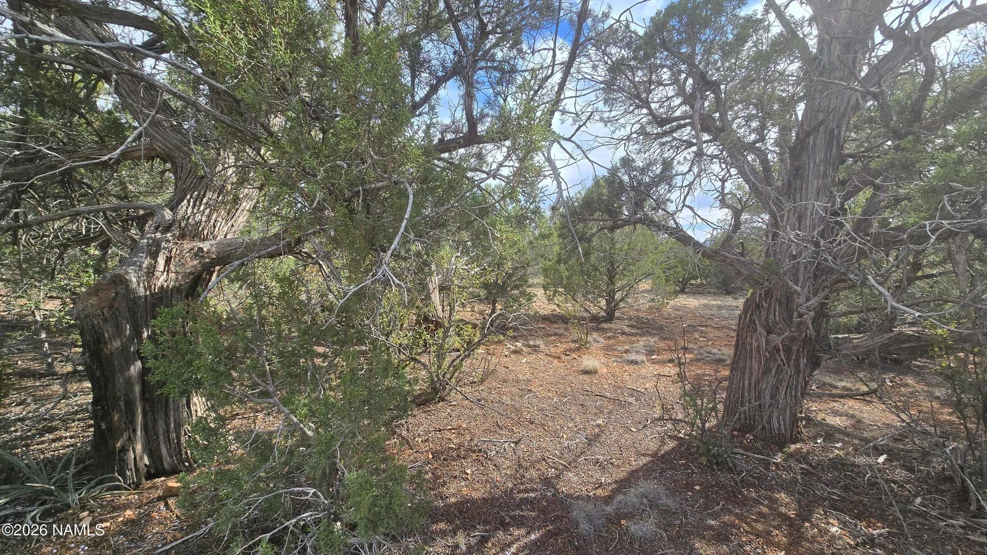 4.32 Acres of Land for Sale in Williams, AZ - Williams, Arizona, 86046