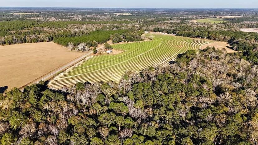 Lots & Land-Other in Whigham
